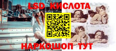 крисы Краснодар