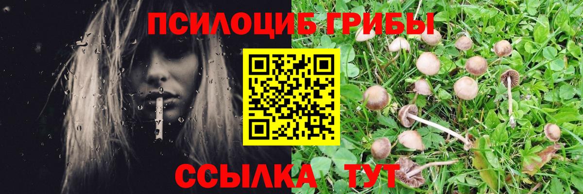Галлюциногенные грибы прущие грибы Елизово