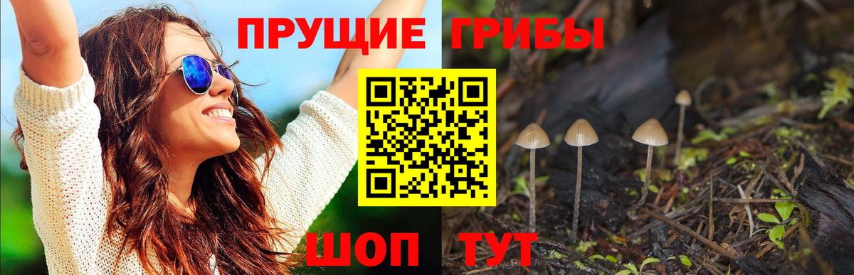Галлюциногенные грибы ЛСД  Вход с VPN  Елизово  Псилоцибиновые грибы прущие грибы 